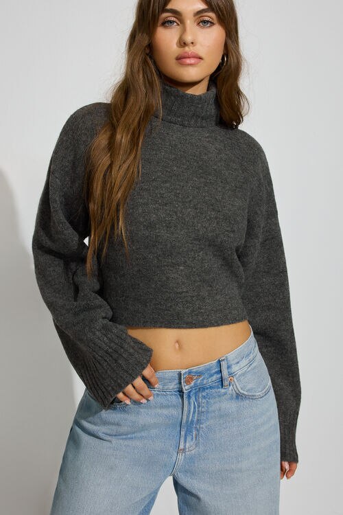 Spongy Cropped Turtleneck