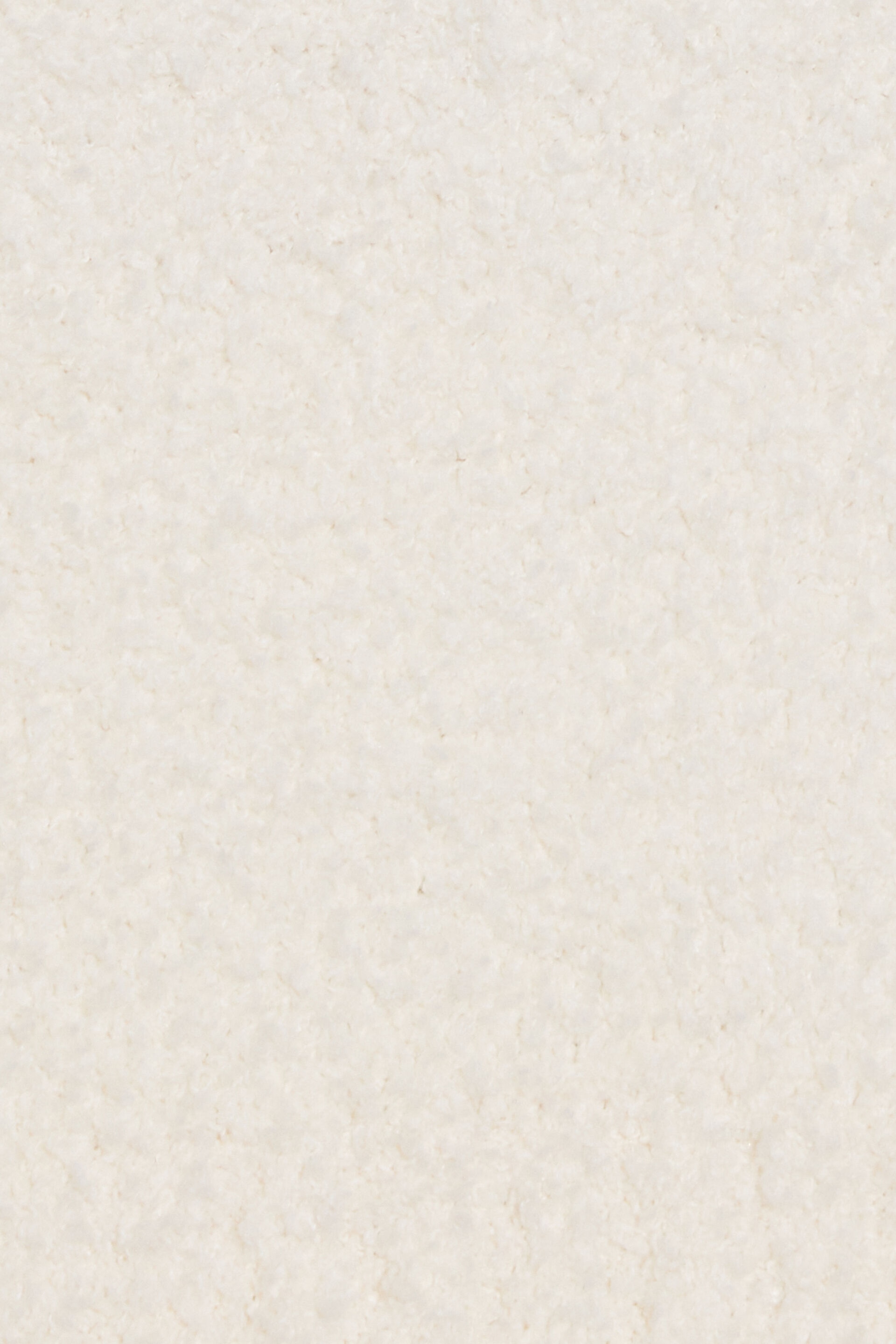 Plush Off Shoulder Sweater