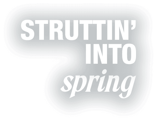 Strutting into spring
