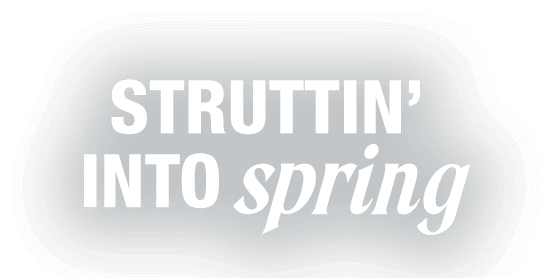 Strutting into spring